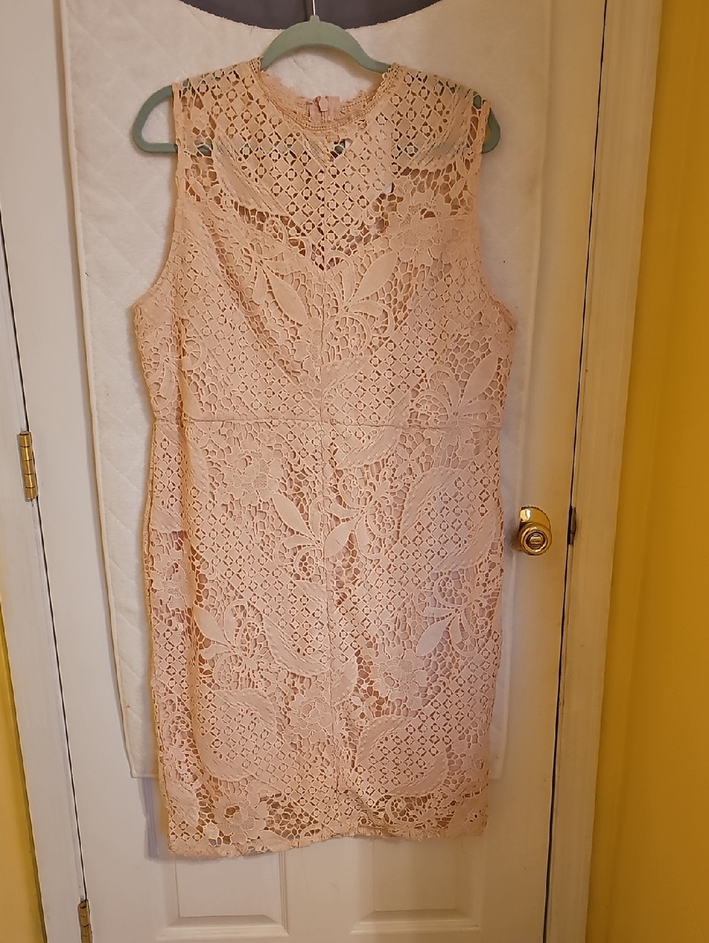 Sleeveless Lace Midi Dress in Blush